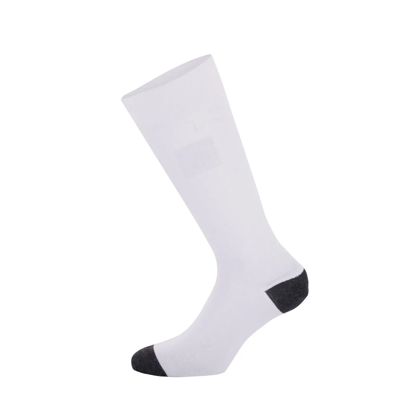 Chaussettes ALPINESTARS FIA ZX V4