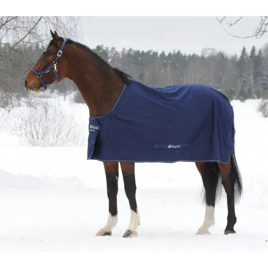 Chemise de transport séchante cheval Shamrock Power - Bucas - BUCAS - Couvertures de box - Equestra
