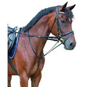 Enrênement Thiedemann Covalliero pour cheval