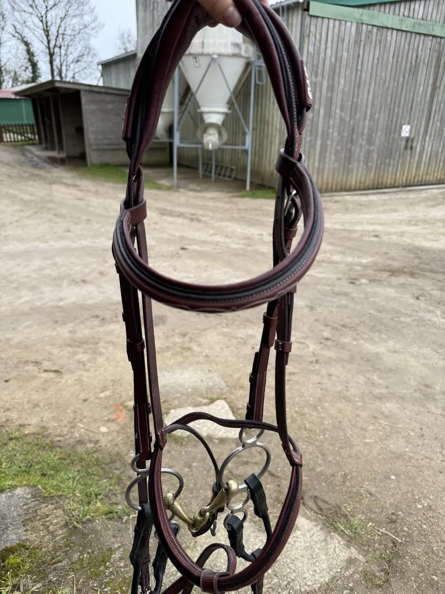 Filet CWD mademoiselle neuf
